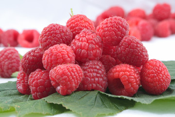 Fresh raspberries