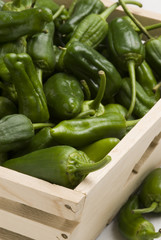 Green peppers. Spanish cuisine. Pimientos de Padrón.