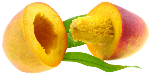 mangue américaine feuilles noyau pulpe fond blanc