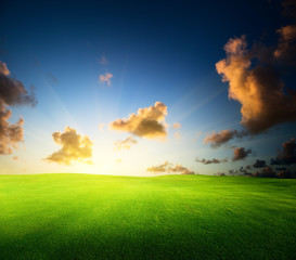 Obraz na płótnie Canvas field of grass and sunset