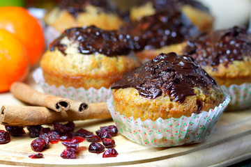 Delicious cookies with cranberries, cinnamon and orange