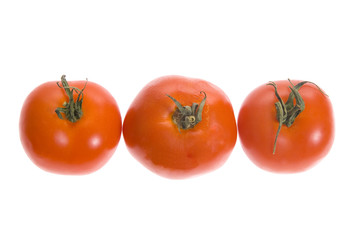 Tomatoes