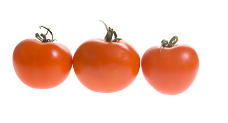 Tomatoes