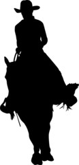 cowboy