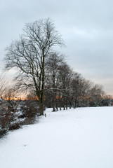 Snowy Park