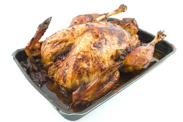 Roast Turkey