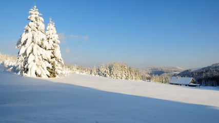 Verschneite Waelder no.15