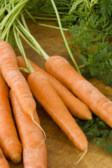 Organic Carrots with foliage