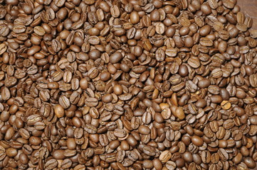 Kaffeebohnen