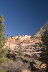 Fototapeta na wymiar Zion National Park, Utah