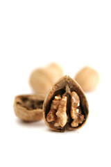 walnut