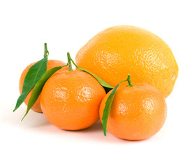 Tangerines and orange