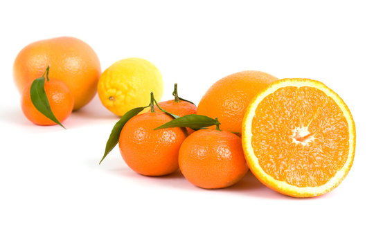 Different citrus