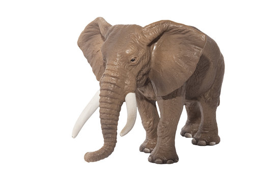 Elefant - Tiere Afrikast