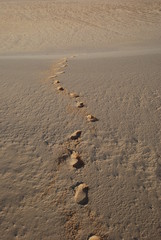 trace de pas dans le sable