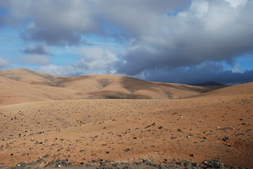 chèvres et montagne aux iles Canaries