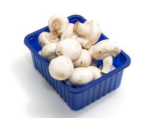basket of champignons