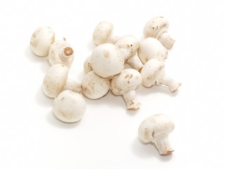 group of champignons