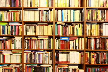 Library, Bücherwand, Buchgeschäft, Buchladen, Spanien
