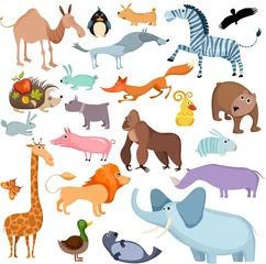 Wall murals Zoo big animal set