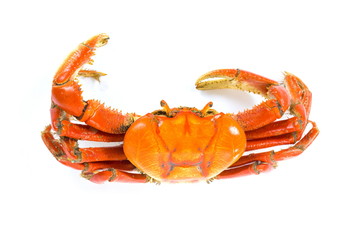 Crab