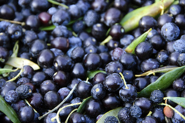 olives