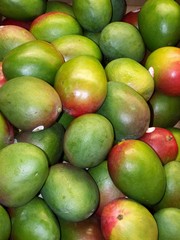Mangue