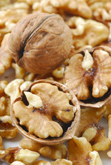 close up of walnuts