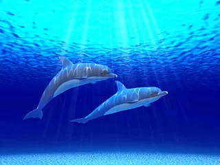Papier Peint photo Lavable Dauphins Deux dauphins nageant dans l& 39 océan
