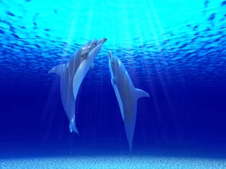 Foto op Plexiglas Twee dolfijnen zwemmen in de oceaan © Roman King
