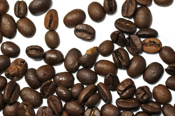 grains de café sur fond blanc