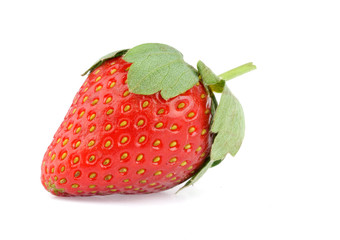 strawberry isolated