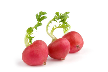 red radish close-up