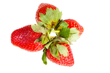 berry of strawberry on white background.