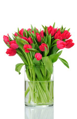 red tulips in the vase isolated on white background