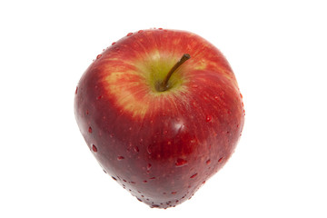 frischer Apfel