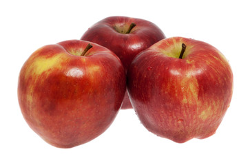 Fototapeta na wymiar frischer Apfel
