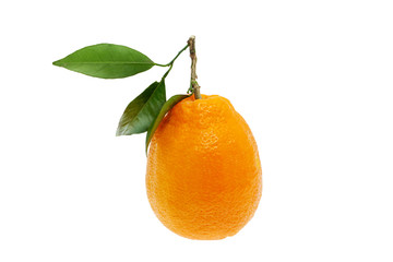 Orange mit Blatt
