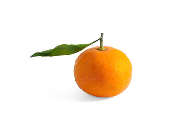 orange with branch