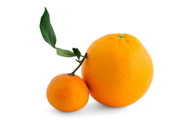 orange with branch