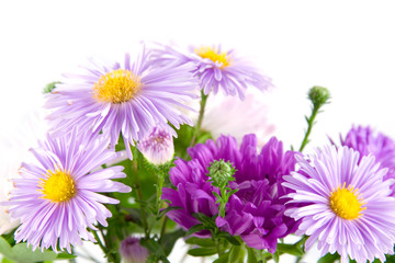 Fototapeta premium Lilac bouquet
