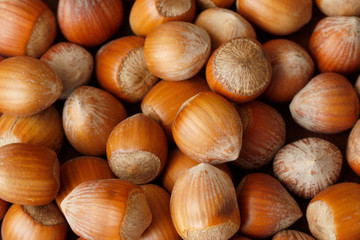 Hazelnuts