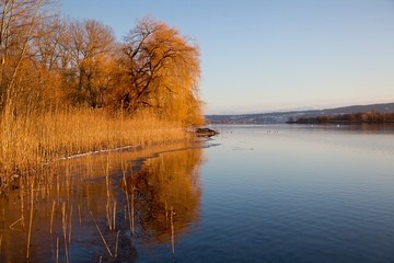 Bodensee Winter 1