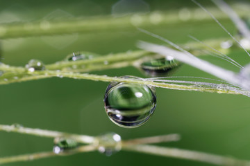 Wassertropfen 1