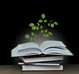 Tree growing from open book