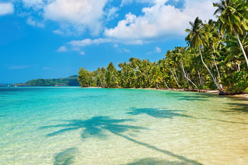Fototapeta na wymiar Palmy kokosowe na plaży
