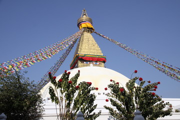 stupa de swayambunath katmandou