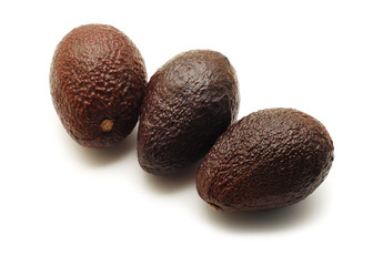 isolated wvocado fruits