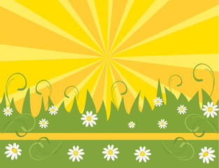 Obraz premium spring flower background
