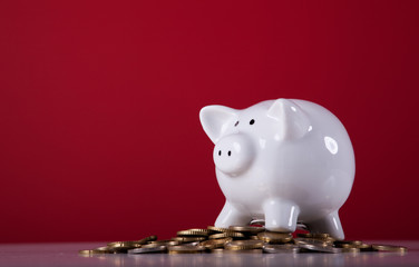 Wealthy piggy bank